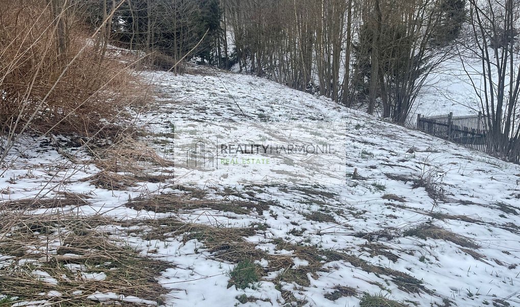 Prodej stavebního pozemku 3 206 m², Benecko – náhled fotky 20