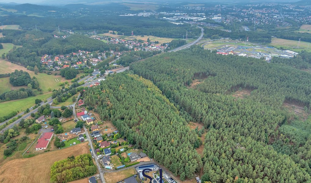 Prodej komerčního pozemku 20 062 m², Sosnová – náhled fotky 4
