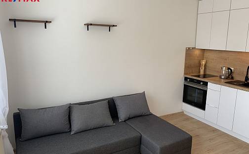 Pronájem bytu 1+kk 22 m², Jana Švermy, Louny