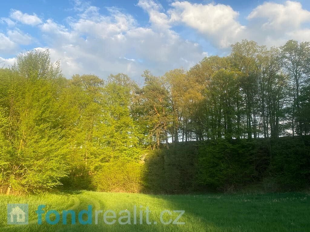 Prodej pole 3 829 m² — photo 3