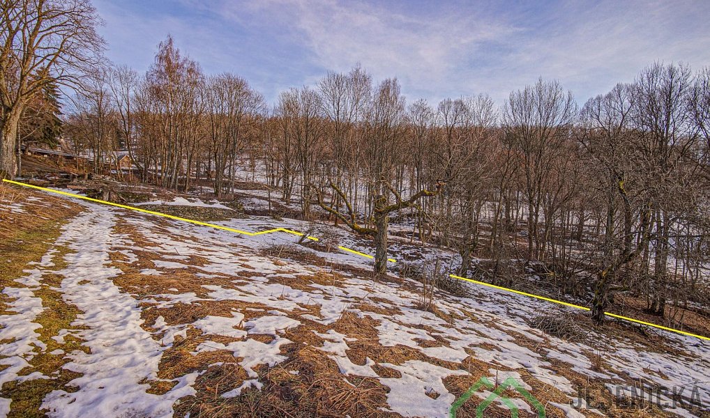 Prodej louky 2 772 m², Branná – náhled fotky 16