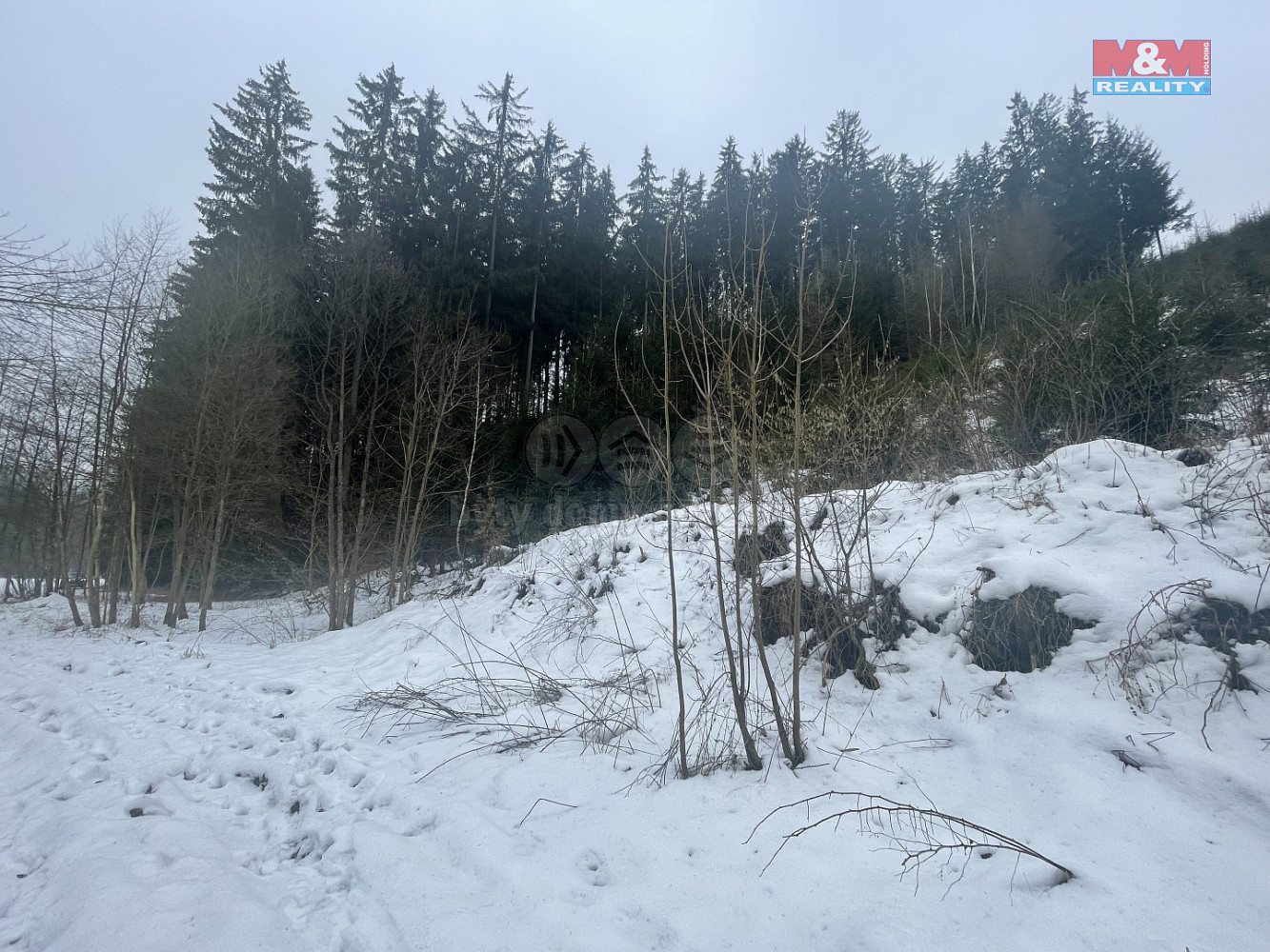 Prodej lesa 70 240 m² – fotografie 2