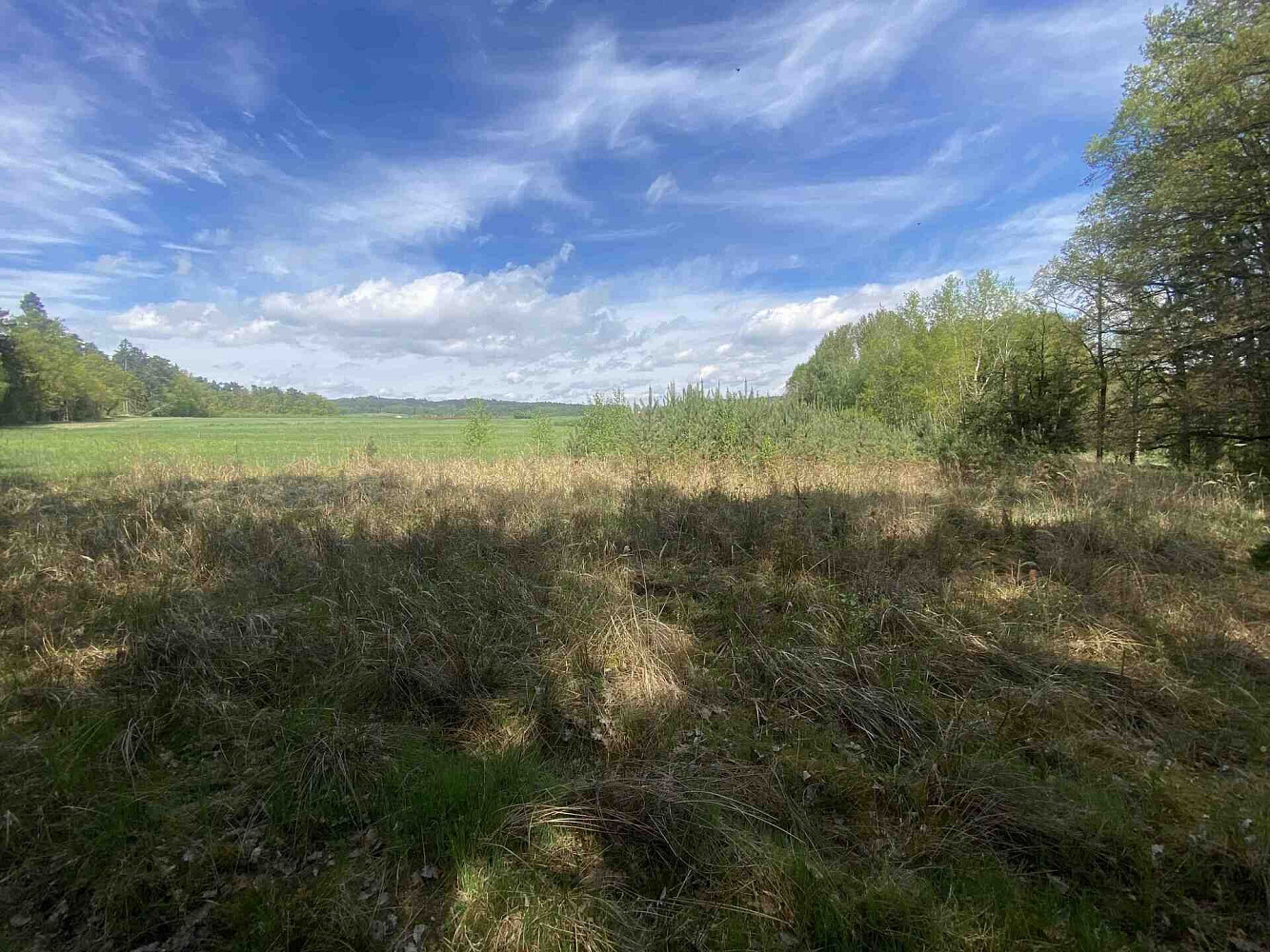 Prodej pole 5 875 m² – fotografie 2