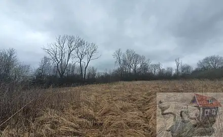 Prodej louky 2 105 m², Stružnice - Bořetín, okres Česká Lípa