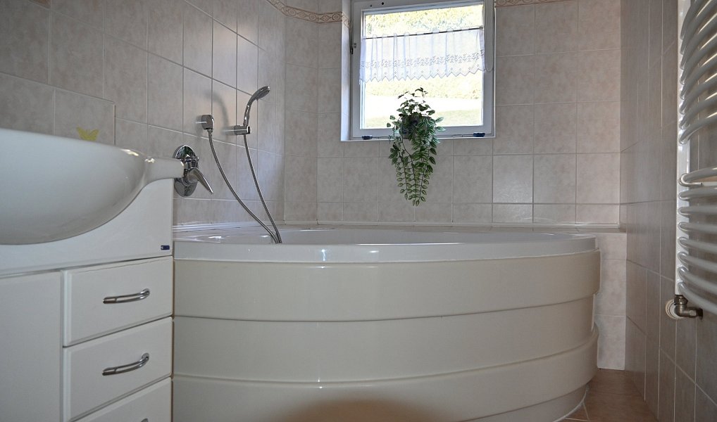 Prodej domu 302 m² s pozemkem 800 m², Oborná – náhled fotky 49
