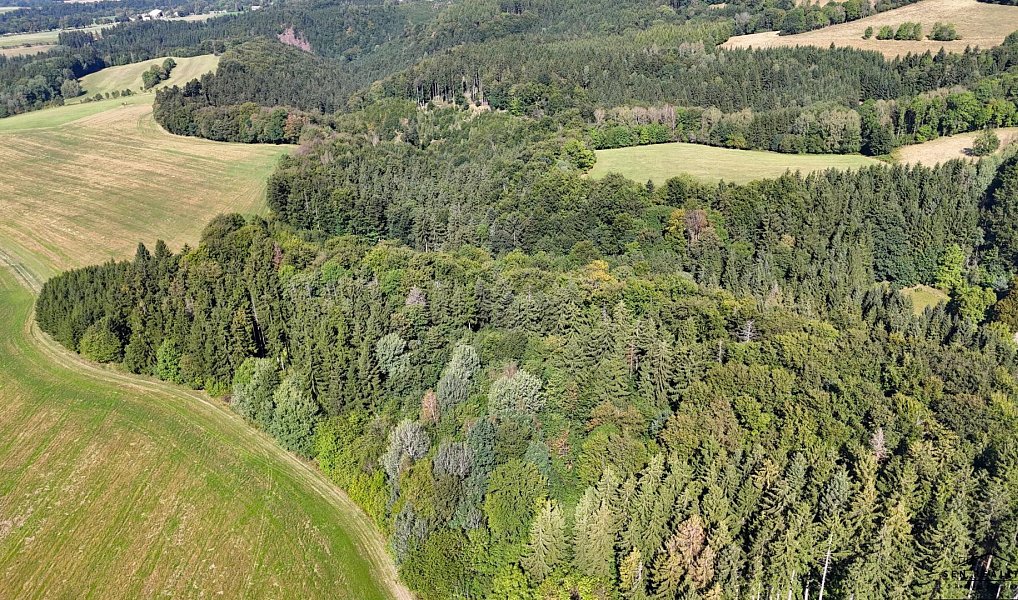 Prodej lesa 9 005 m², Liberk – náhled fotky 5