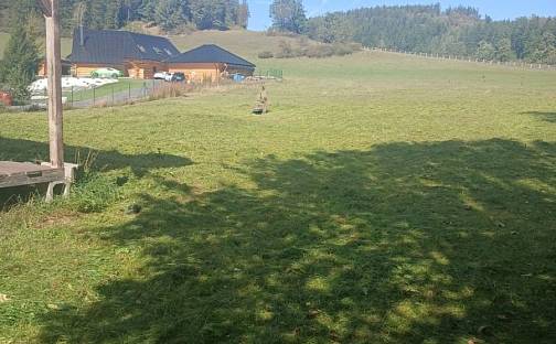 Prodej stavebního pozemku 2 250 m², Krasov, okres Bruntál