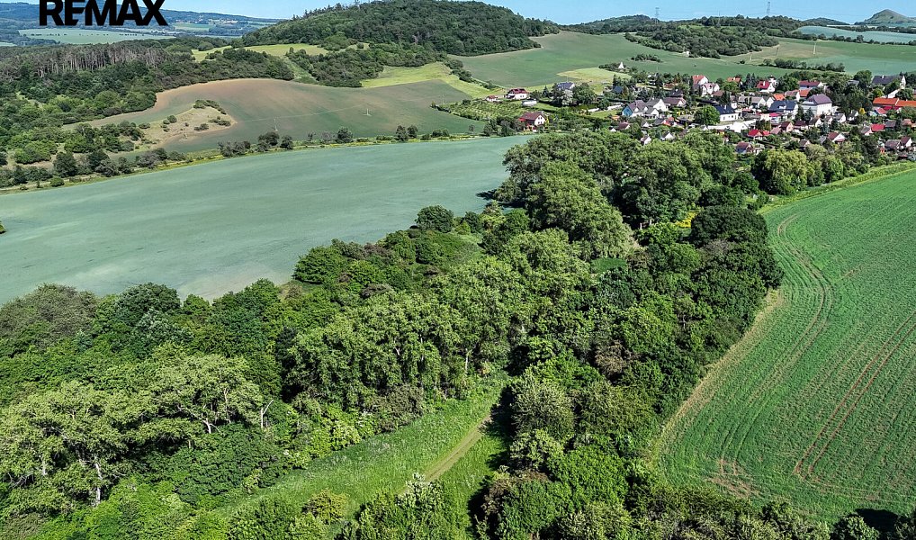 Prodej lesa 5 841 m², Skršín – náhled fotky 9