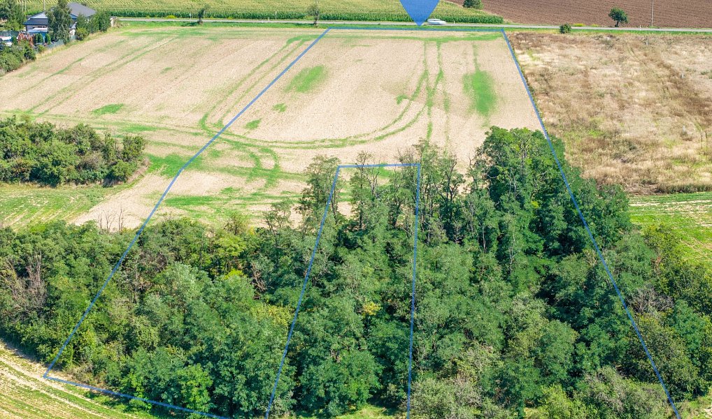 Prodej stavebního pozemku 9 718 m², Dyje – náhled fotky 5