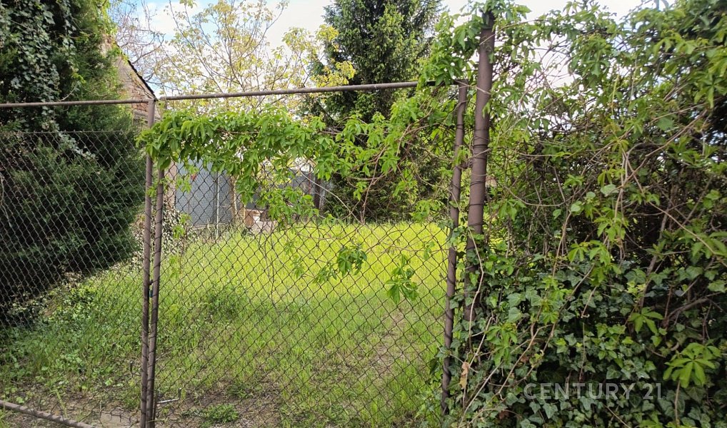 Prodej domu 209 m² s pozemkem 564 m², Jarohněvice – náhled fotky 18