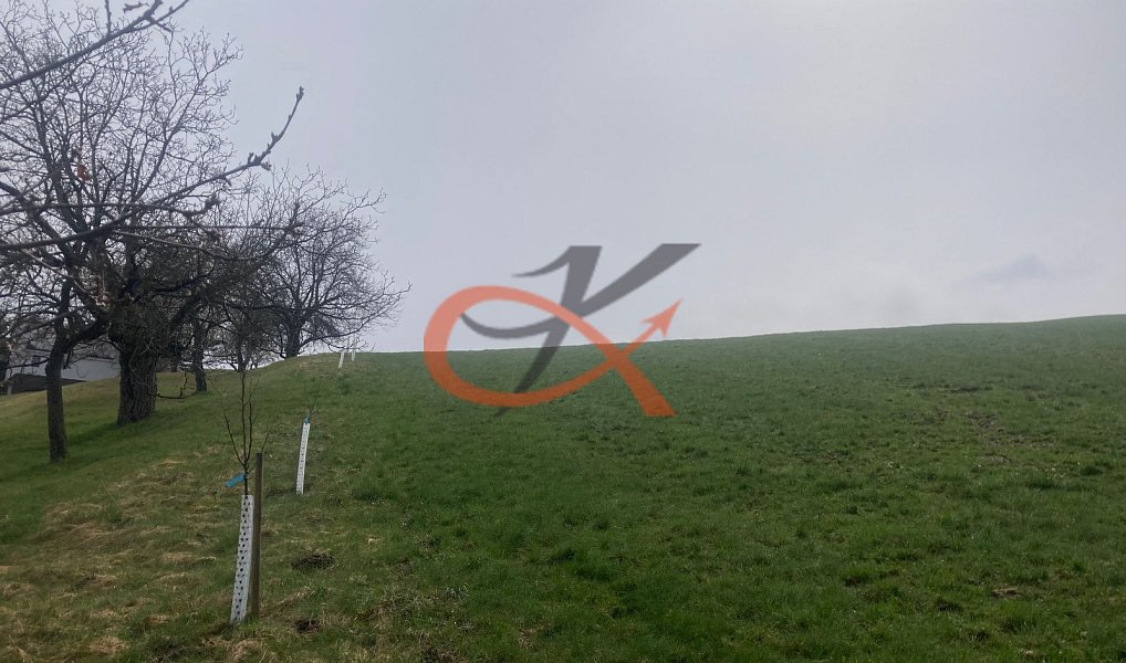 Prodej stavebního pozemku 9 208 m², Háj ve Slezsku – náhled fotky 17