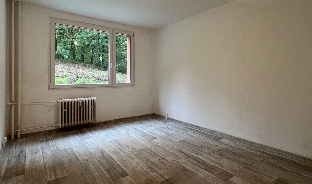 Prodej bytu 1+1 35 m², Ústí nad Labem – náhled fotky 5