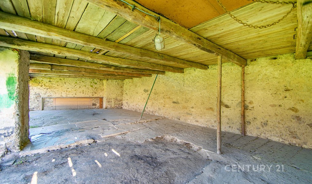 Prodej stavebního pozemku 5 613 m², Soběšice – náhled fotky 18