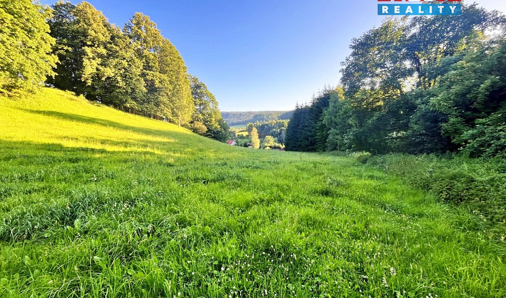 Prodej louky 5 449 m², Teplice nad Metují – náhled fotky 6