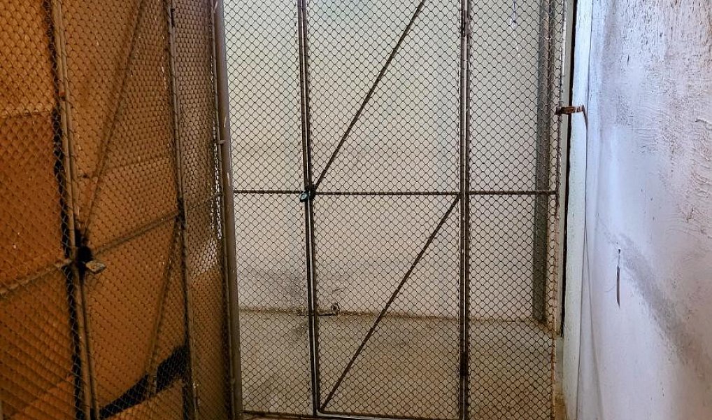 Prodej bytu 3+1 72 m², Příšovice – náhled fotky 23