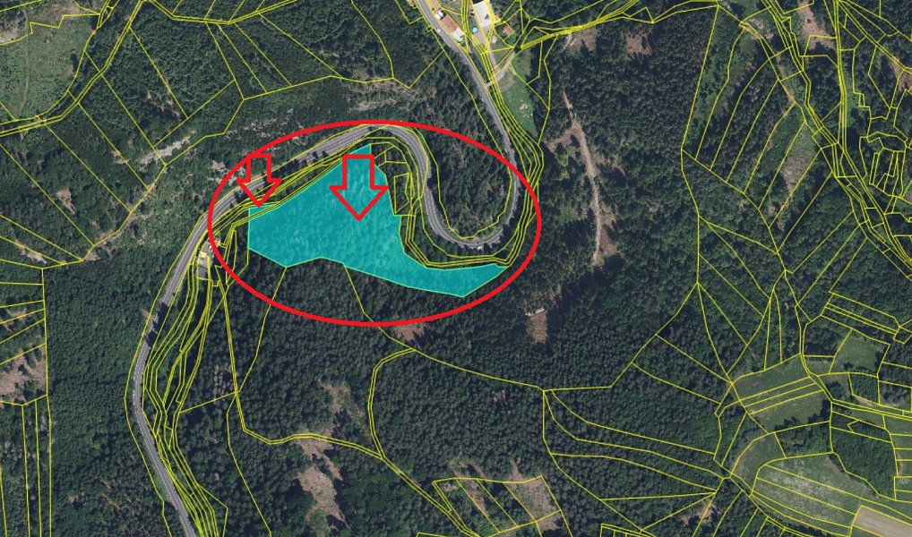 Prodej lesa 18 900 m², Loužnice – náhled fotky 6