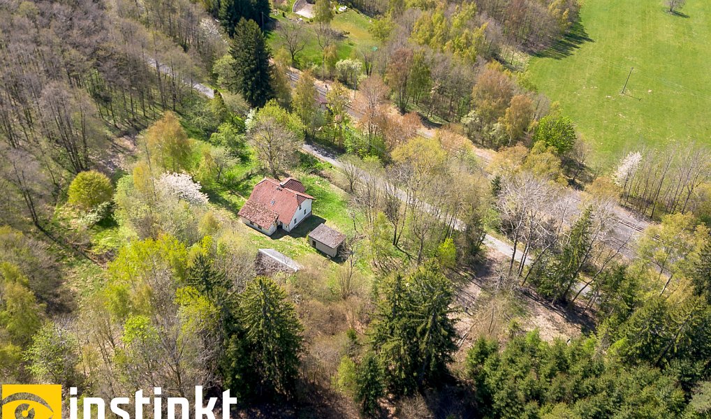 Prodej domu 290 m² s pozemkem 2 871 m², Nýrsko – náhled fotky 21