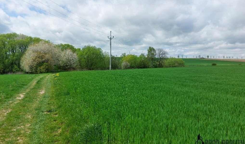 Prodej pozemku 12 045 m², Krásensko – náhled fotky 5
