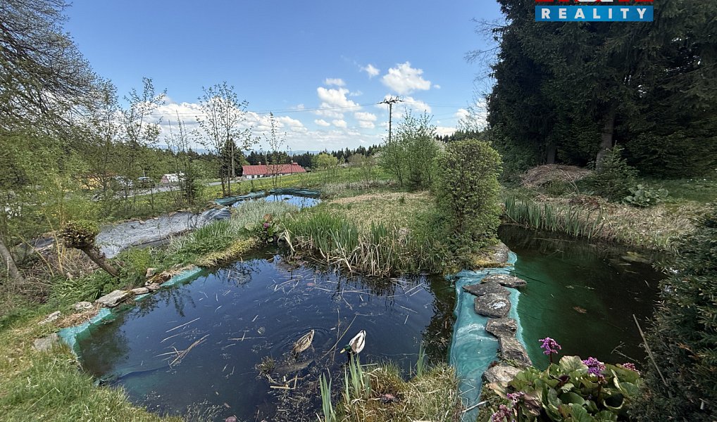 Prodej stavebního pozemku 2 109 m², Pěnčín – náhled fotky 5