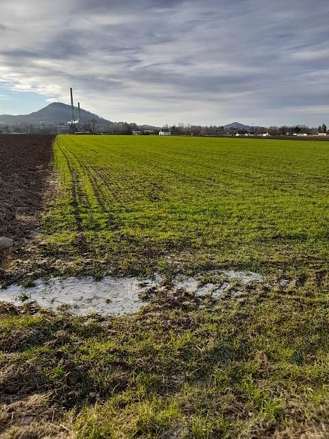 Pronájem zahrady 700 m² — photo 2