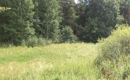 Prodej pozemku 2 441 m², Chodský Újezd - Nahý Újezdec, okres Tachov