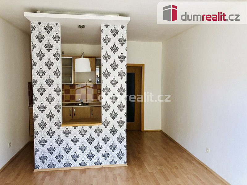 Pronájem bytu 1+kk 23 m² — photo 4
