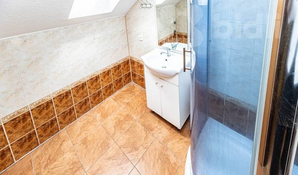 Prodej komerčního objektu (jiného typu) 302 m², Javorník – náhled fotky 29