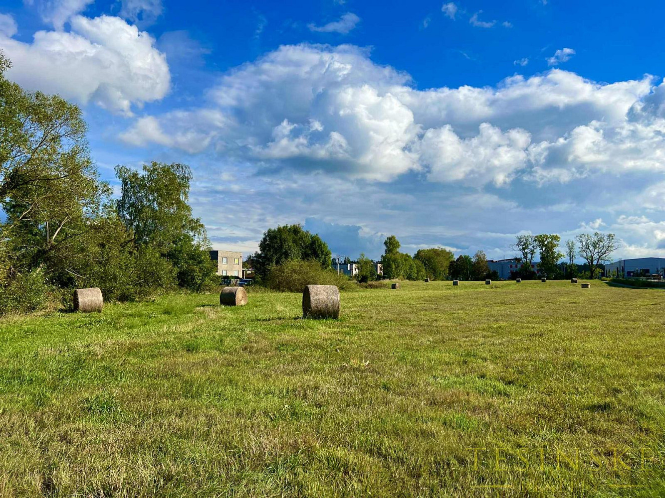 Prodej komerčního pozemku 7 307 m² – fotografie 3