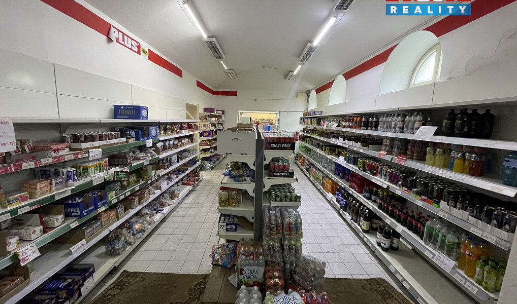 Prodej nájemního domu, činžáku 1 803 m², Podbořany – náhled fotky 9