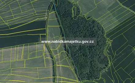 Prodej lesa 2 421 m², Čížkov, okres Plzeň-Jih