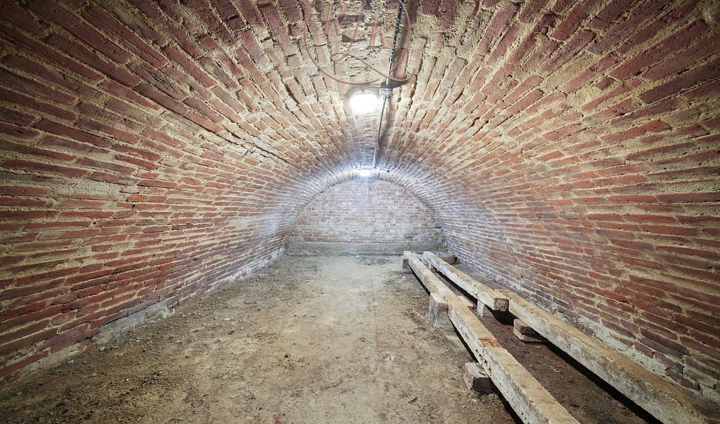 Autentický vinný sklep v srdci jižní Moravy, 153 m2, po kompletní rekonstrukci, obec Přítluky., Přítluky – náhled fotky 9