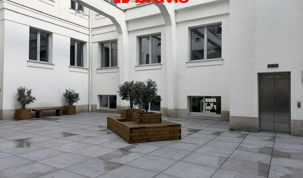 Pronájem kanceláře 31 m², Brno – náhled fotky 10