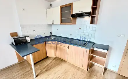 Pronájem bytu 1+kk 44 m²