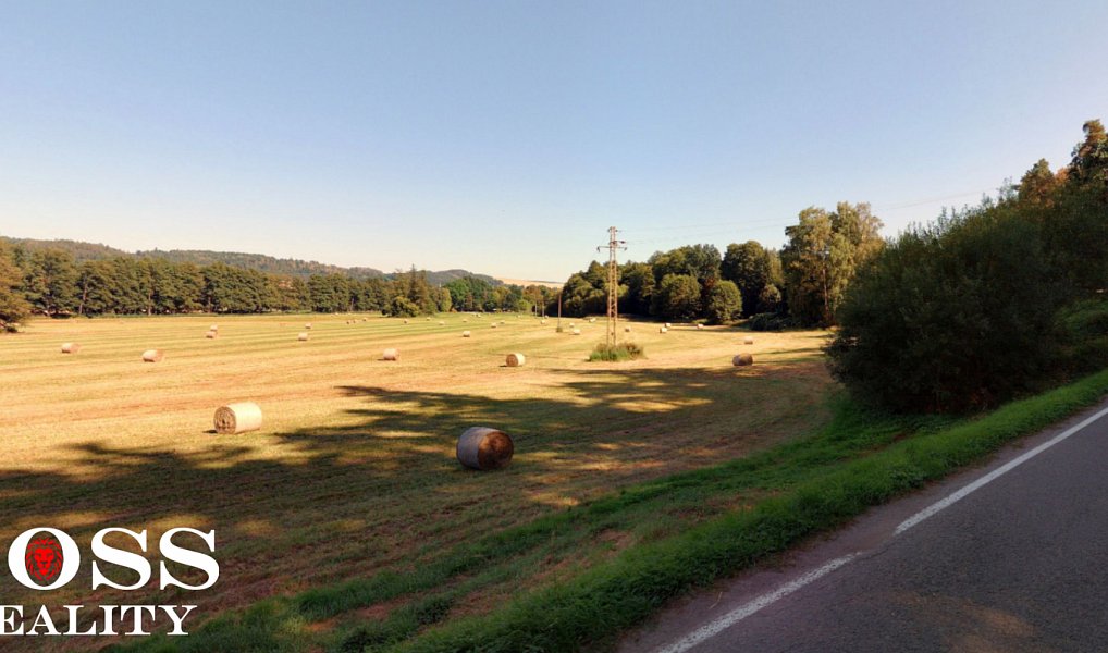 Prodej louky 2 317 m², Plasy – náhled fotky 3