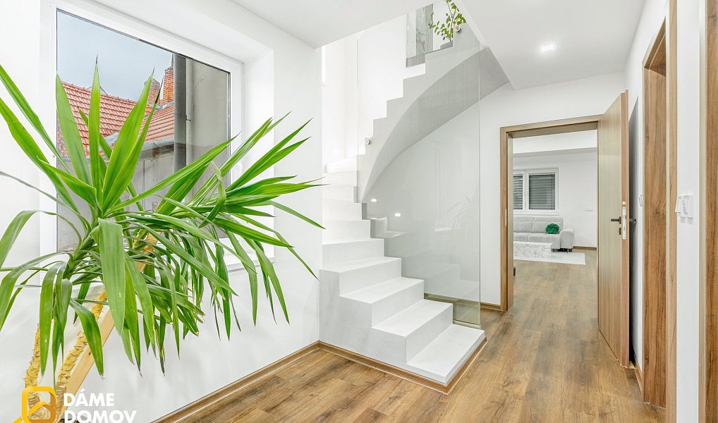 Prodej domu 308 m² s pozemkem 3 861 m², Suchov – náhled fotky 4
