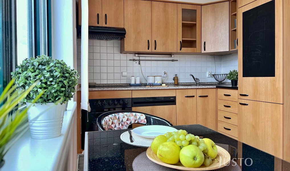Pronájem bytu 2+1 100 m², Praha – náhled fotky 3
