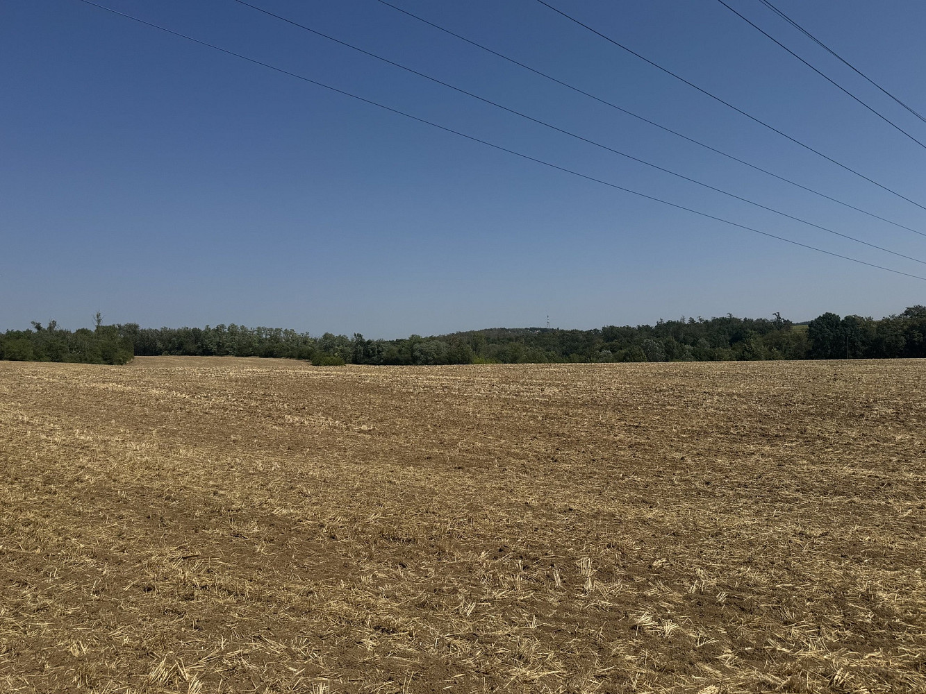 Prodej zahrady 500 m² – fotografie 5
