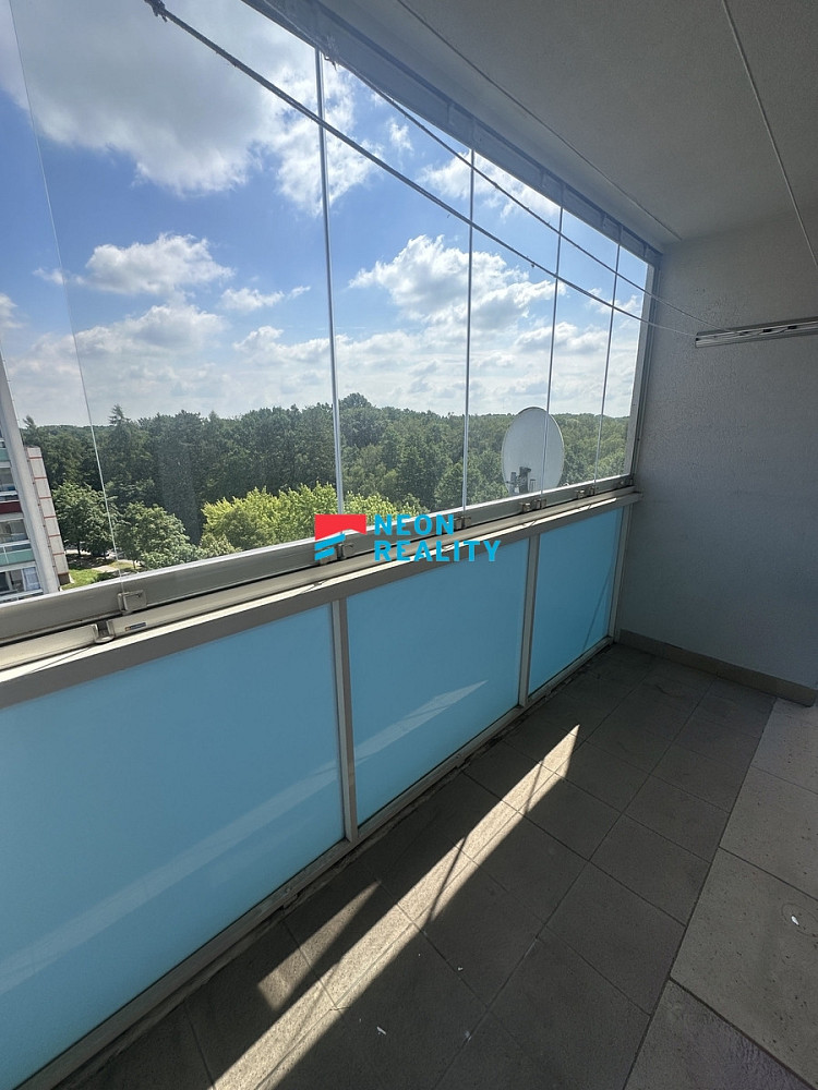 Pronájem bytu 3+1 67 m² — photo 3