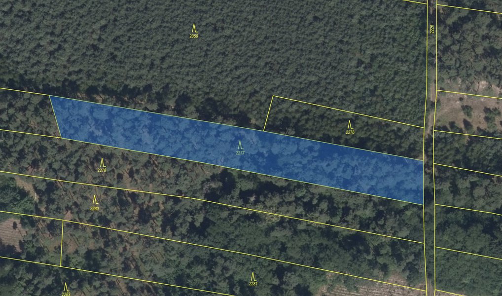 Prodej lesa 3 685 m², Kostelní Lhota – náhled fotky 3