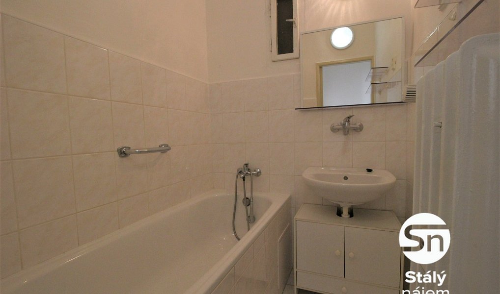 Pronájem bytu 1+1 43 m², Praha – náhled fotky 9