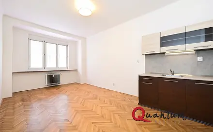 Pronájem bytu 1+kk 29 m², Baranova, Praha 3 - Žižkov