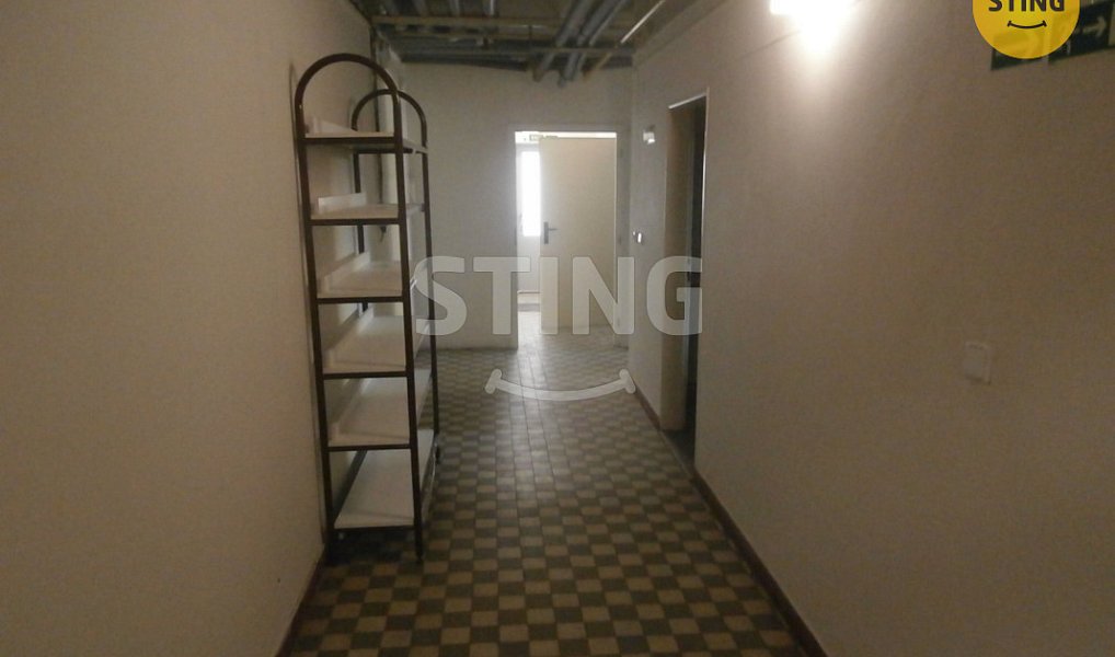 Pronájem obchodních prostor 240 m², Opava – náhled fotky 16