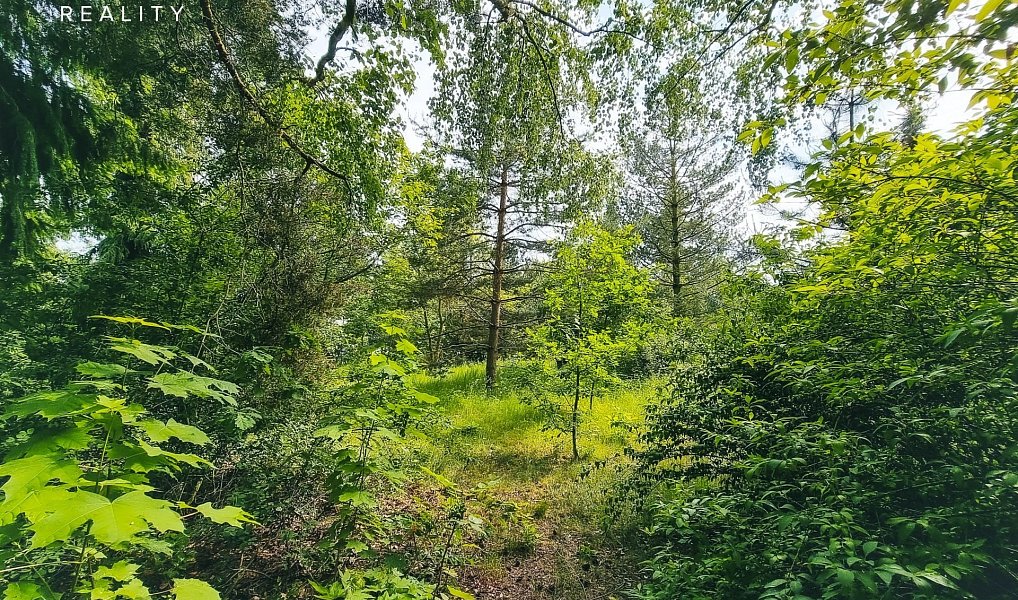 Prodej stavebního pozemku 850 m², Plzeň – náhled fotky 9