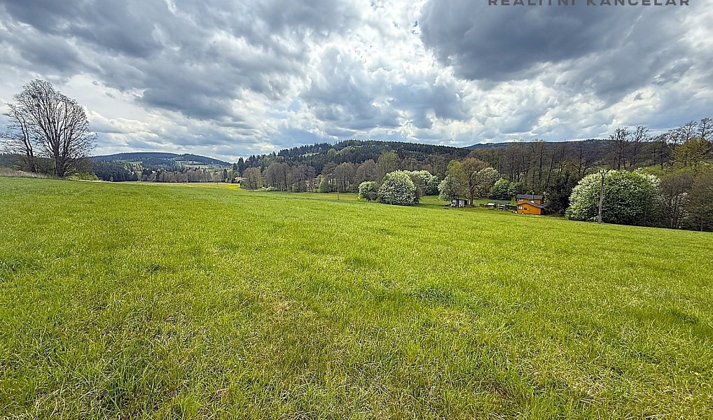 Prodej louky 17 174 m², Březiny – náhled fotky 3