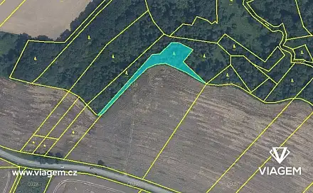 Prodej lesa 2 180 m², Olbramice, okres Ostrava-město