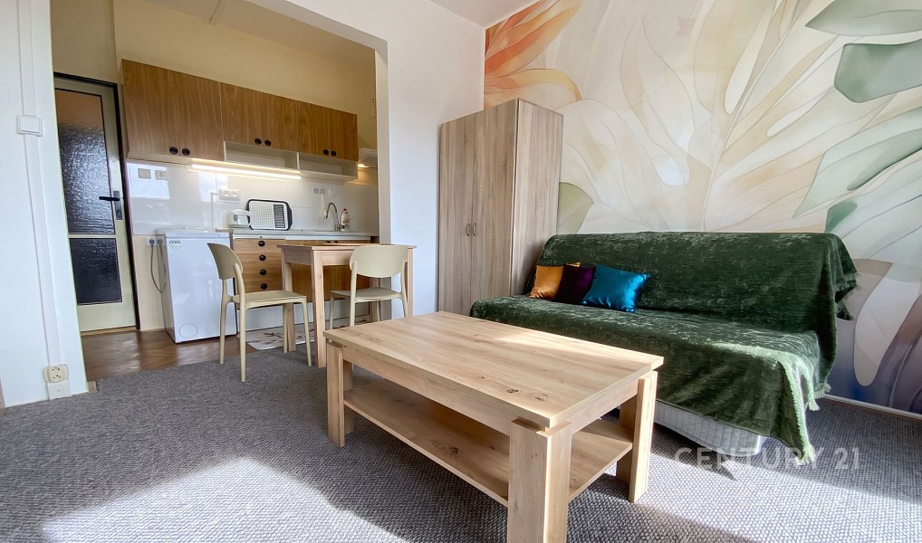 Pronájem bytu 1+kk 28 m², Zlín – náhled fotky 3