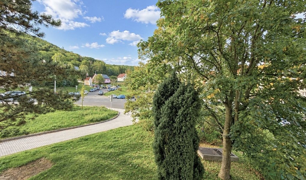 Prodej bytu 3+1 76 m², Jirkov – náhled fotky 22