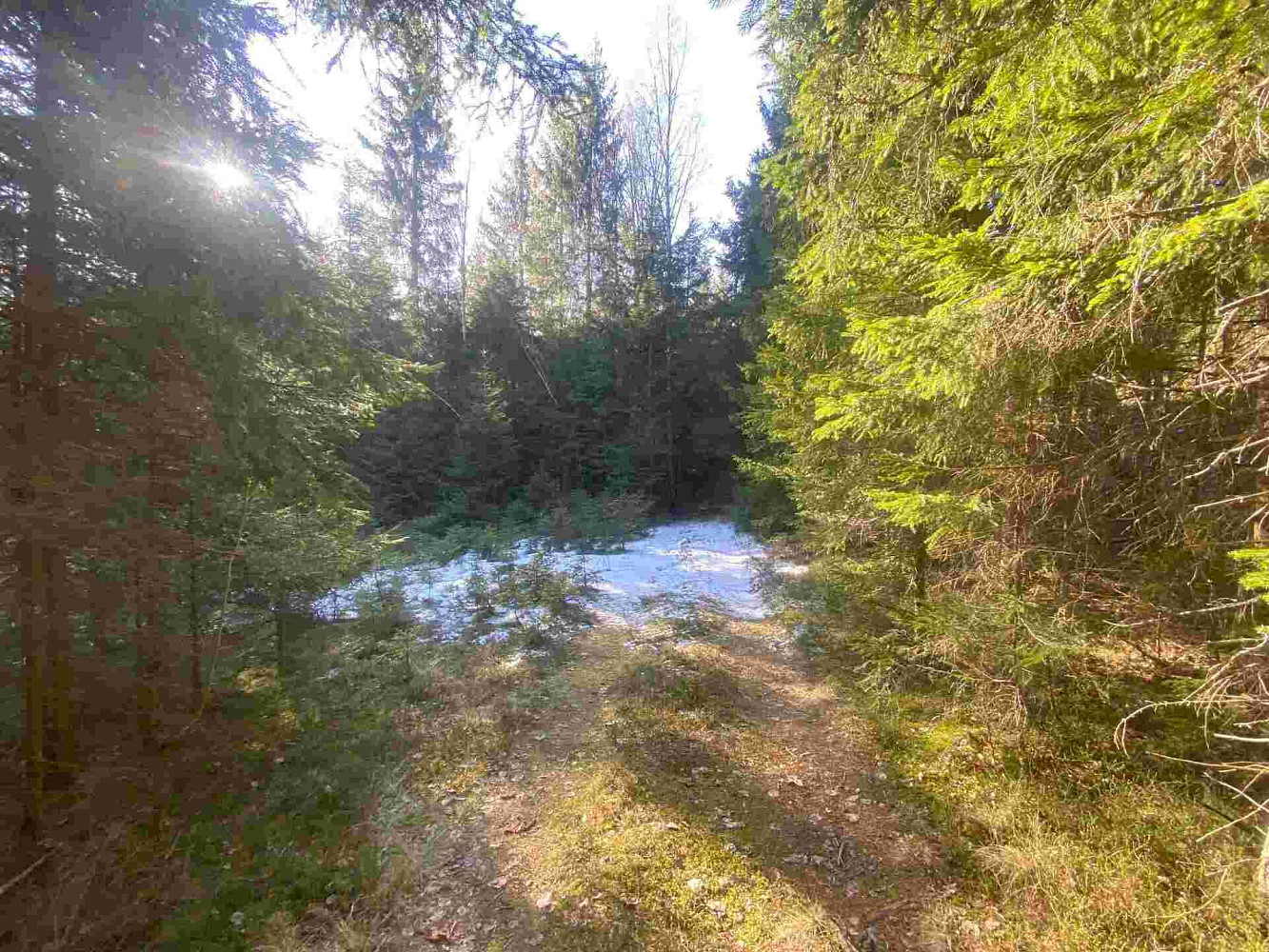 Prodej pole 1 644 m² – fotografie 2