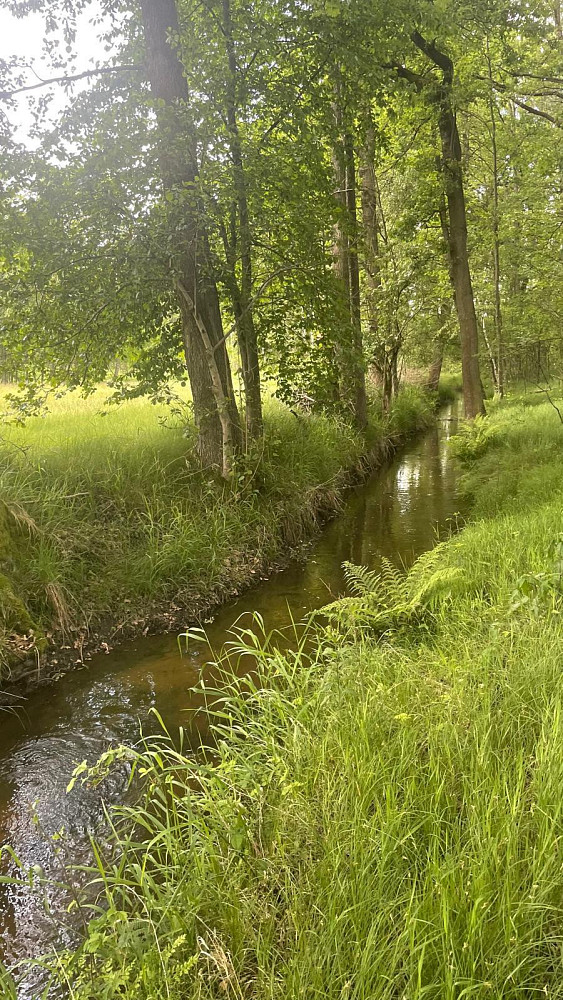 Prodej vodní plochy 130 000 m²