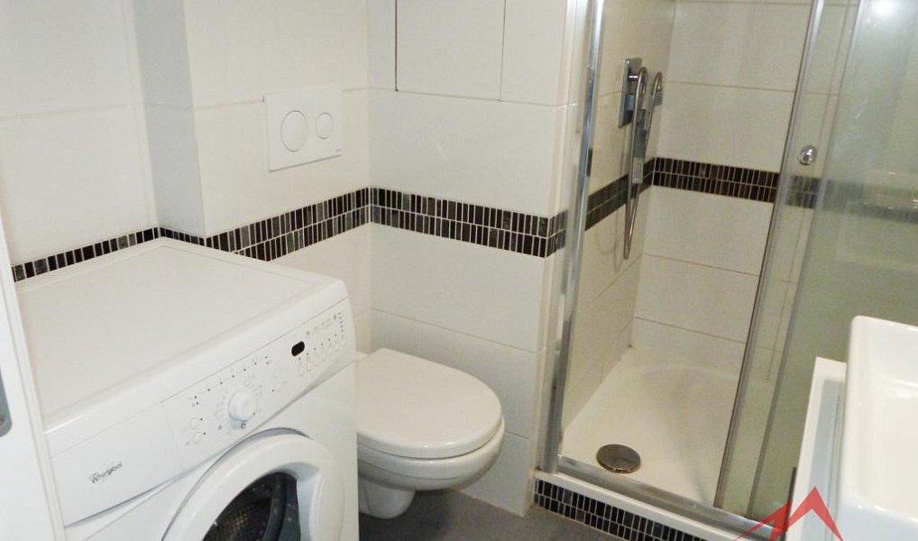 Pronájem bytu 1+1 36 m², Jílové – náhled fotky 9